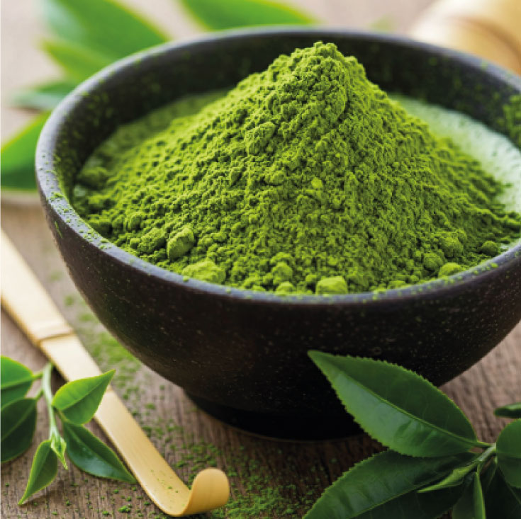 bot-matcha.jpg