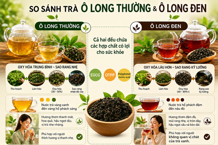 Otop-5-tra-nhat-tot-cho-suc-khoe-12.jpg