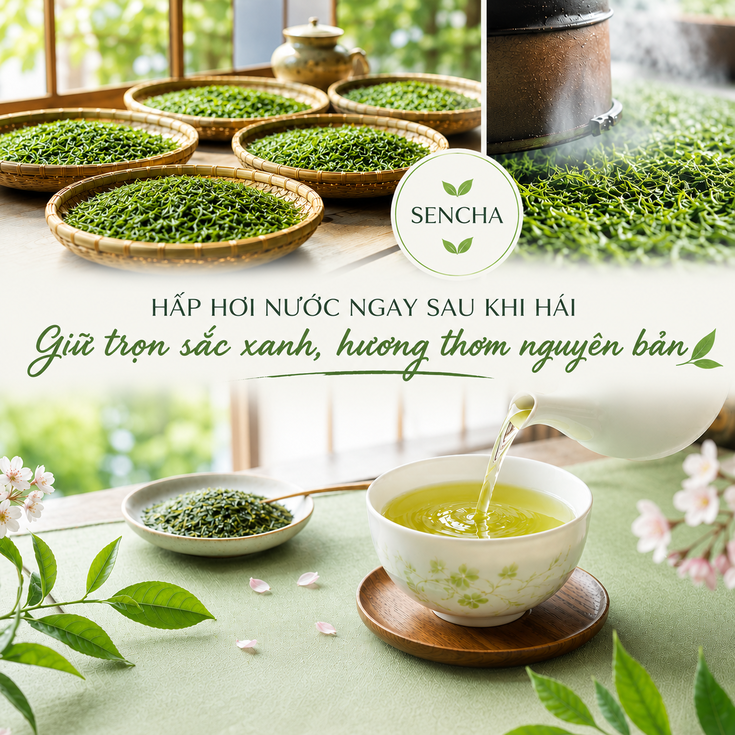 Otop-5-tra-nhat-tot-cho-suc-khoe-2.jpg