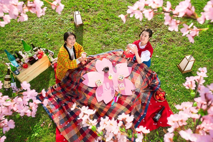 le-hoi-anh-dao-hanami.jpg