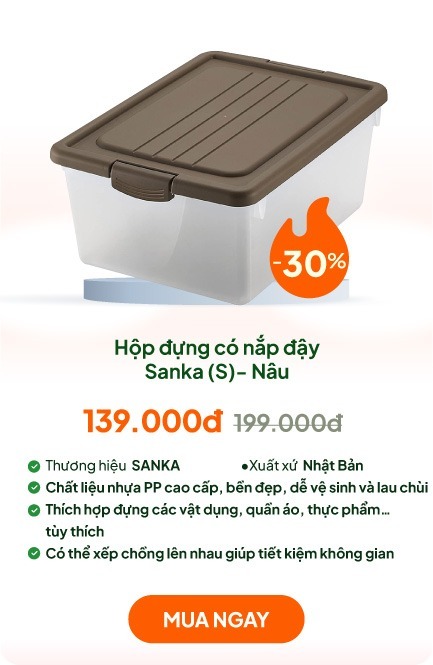 Hộp đựng có nắp đậy Sanka size S 27.5x37.5x16cm- Nâu