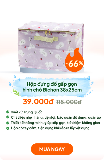 Hộp đựng đồ gấp gọn hình chó Bichon 38x25cm
