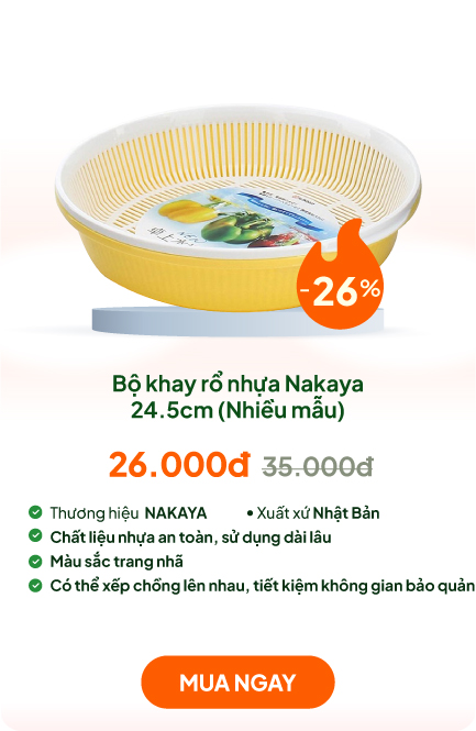 Bộ khay rổ nhựa Nhật Bản Nakaya 24.5cm (Nhiều mẫu)-Giao mẫu ngẫu nhiên