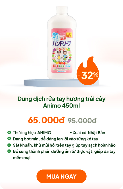 Dung dịch rửa tay, nước rửa tay tạo bọt Nhật Bản kháng khuẩn Animo 450ml Hương trái cây