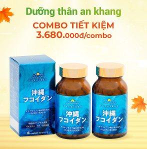 OH03-B-260907-combotietkiem