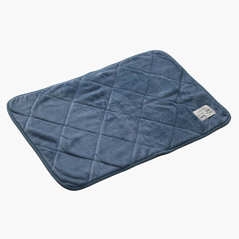 Thảm chùi chân siêu thấm nước Microfiber 60x40cm thương hiệu 