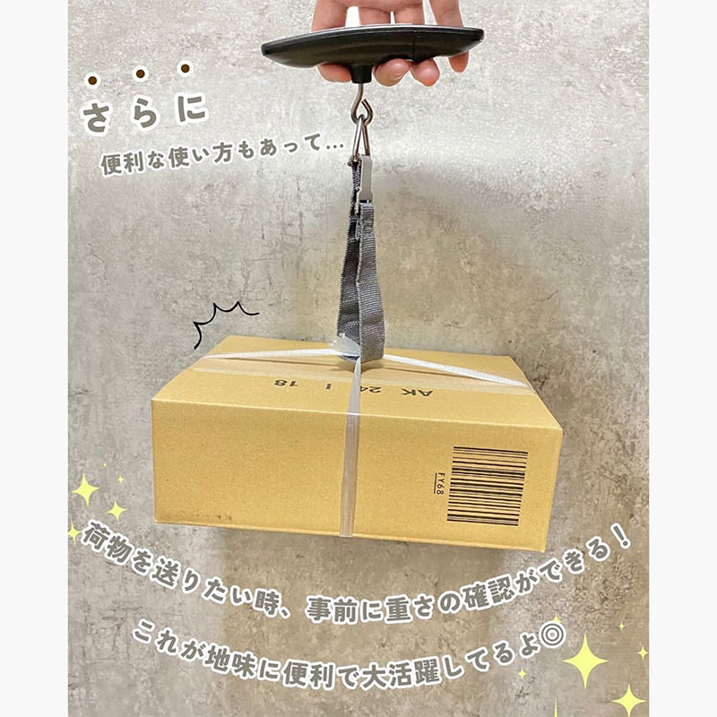 Cân điện tử cầm tay mini, cân hành lý, đi chợ, shopping 50kg thương hiệu AMIFA