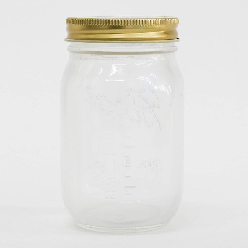 Ly thủy tinh, ca, cốc thủy tinh 400ml có nắp cắm ống hút & nắp đậy kín thương hiệu LIVING