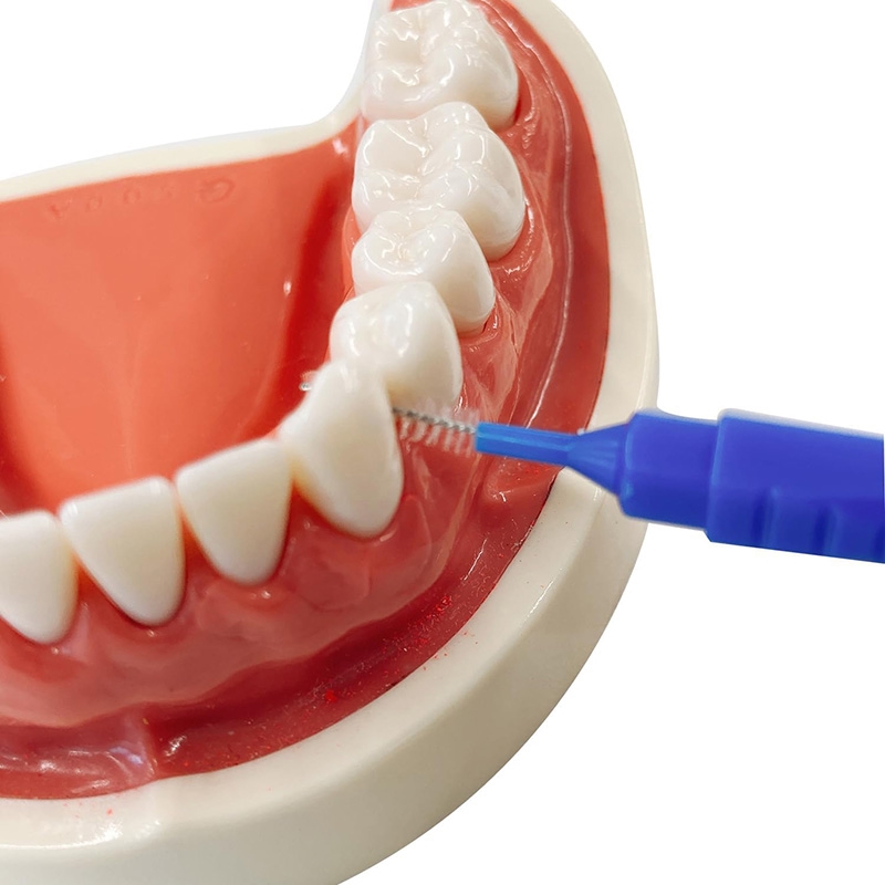 Bàn chải kẽ răng lông siêu mảnh Ebisu 20 cái (size SS) thương hiệu EBISU
