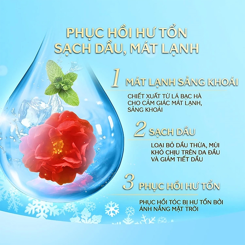 Bộ gội xả sạch dầu mát lạnh Tsubaki premium cool 490ml thương hiệu TSUBAKI