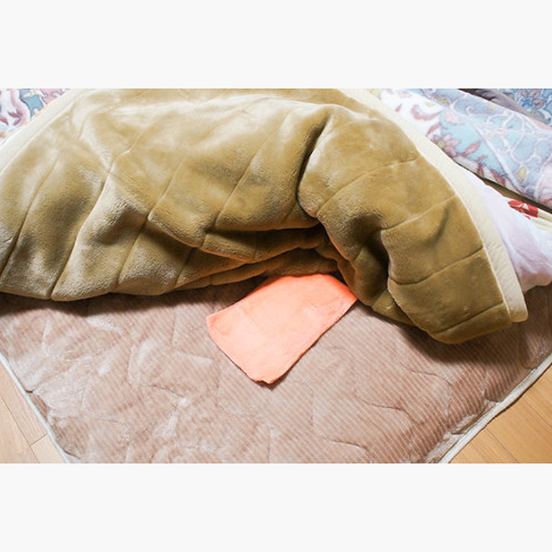 Túi sưởi giữ ấm chân khi ngủ Hakugen Earth 18x25cm, hiệu quả 7 giờ liên tục thương hiệu HAKUGEN EARTH