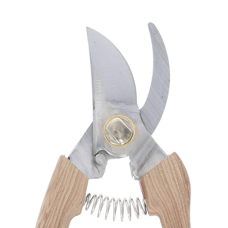Kéo cắt tỉa cành cao cấp Takagi 16.5cm thương hiệu TAKAGI