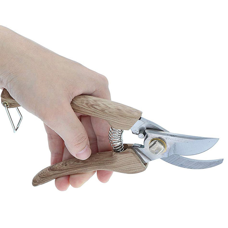Kéo cắt tỉa cành cao cấp Takagi 16.5cm thương hiệu TAKAGI