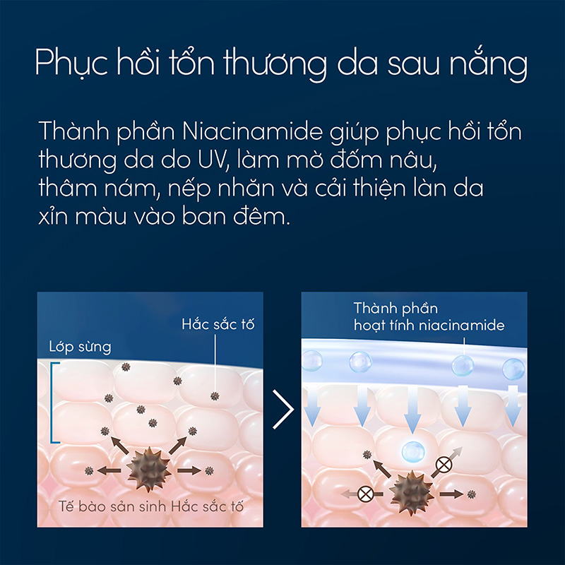 Serum dưỡng da và phục hồi da sau nắng Nhật Bản Anessa Night Sun Care Serum 180ml thương hiệu ANESSA