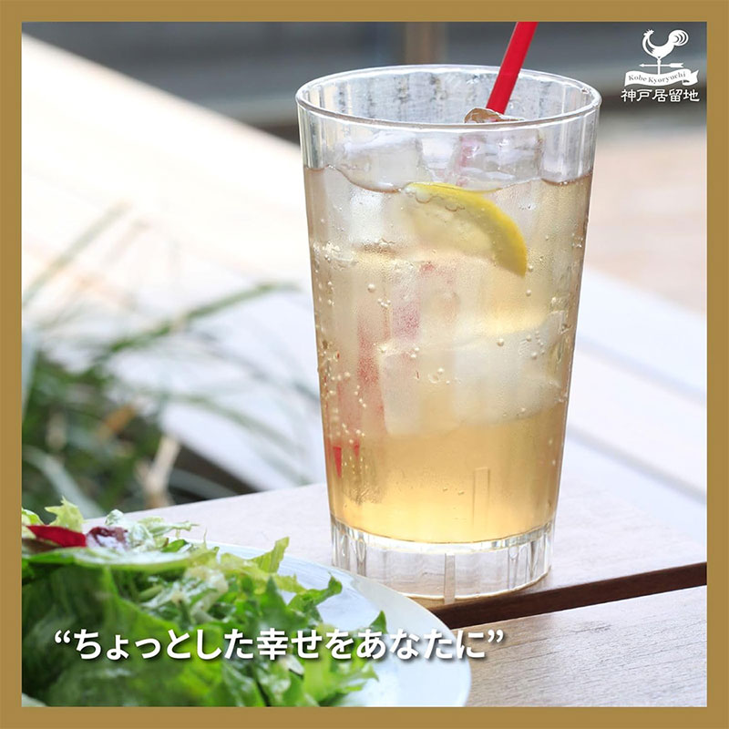 Nước Soda gừng Ginger Ale  350ml thương hiệu TOMINAGA