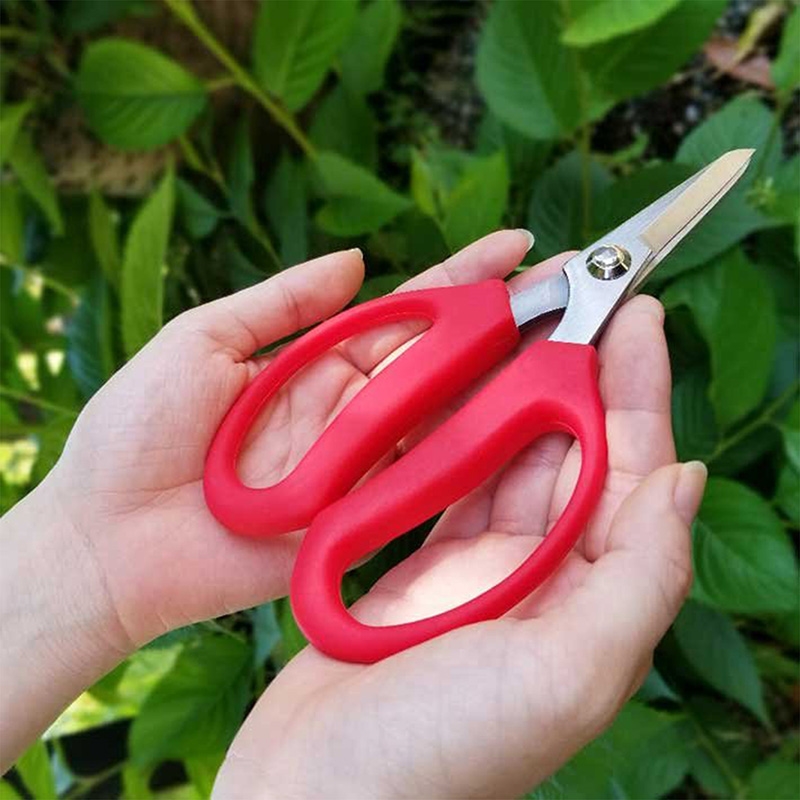 Kéo làm vườn thép carbon Babacho 18.5cm thương hiệu 