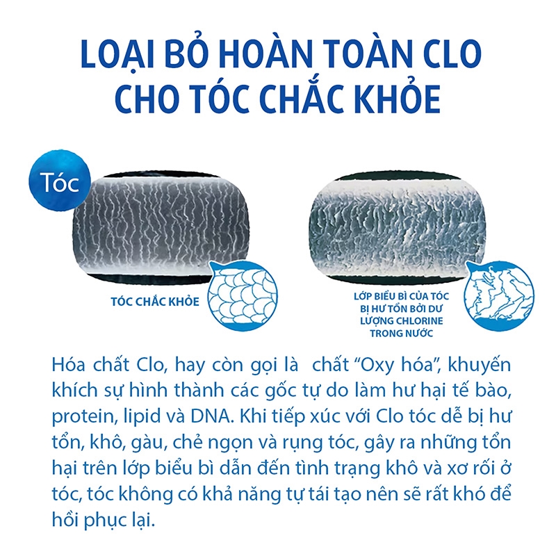 136 Lõi lọc thay thế Torayvino RSC 51 thương hiệu TORAYVINO