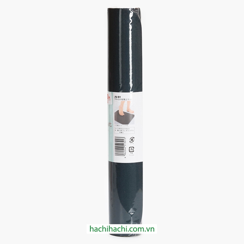 Thảm chùi chân nhà tắm siêu thấm nước 30x40cm thương hiệu WATTS