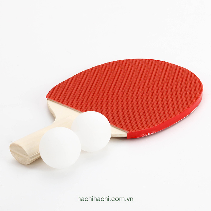 Đồ chơi bóng bàn (1 vợt, 2 bóng) thương hiệu MORITOKU