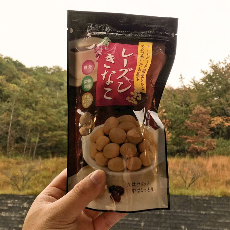 Nho khô phủ đậu nành Kinako Tokai 85g thương hiệu TOKAINOSAN
