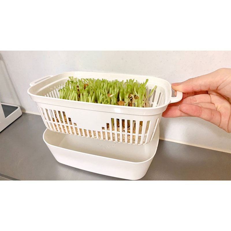 Khay trồng giá đỗ, rau mầm 21x12.5cm thương hiệu YAMADA
