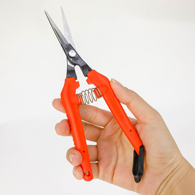 Kéo tỉa cành Nhật Bản thép carbon Chikamasa 18.5cm thương hiệu 