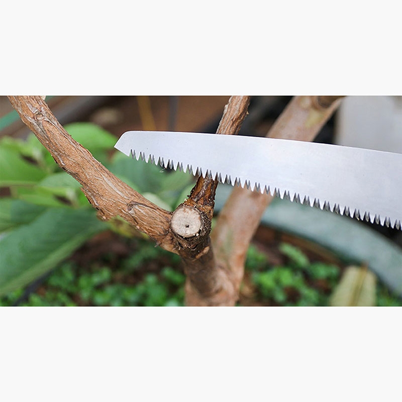 Cưa cầm tay Chikamasa 21cm thương hiệu 