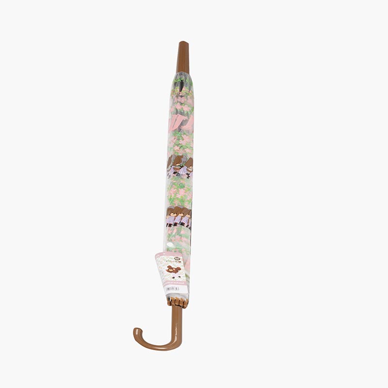 Cây dù trong suốt 60cm hình gấu và hoa thương hiệu 