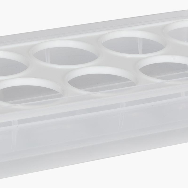 Hộp đựng trứng 10 quả thương hiệu SANADA