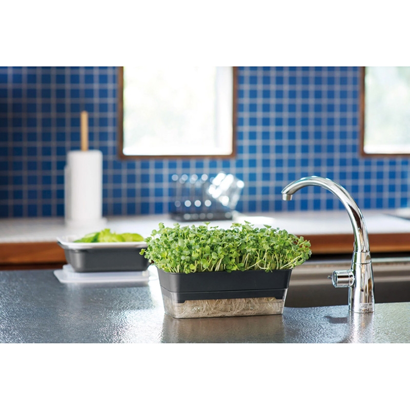 Khay trồng rau mầm Richell 23.5x12cm thương hiệu RICHELL