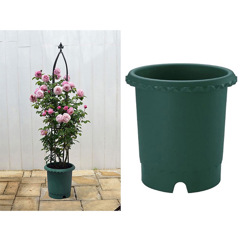 Chậu trồng hoa hồng Richell 30cm thương hiệu RICHELL