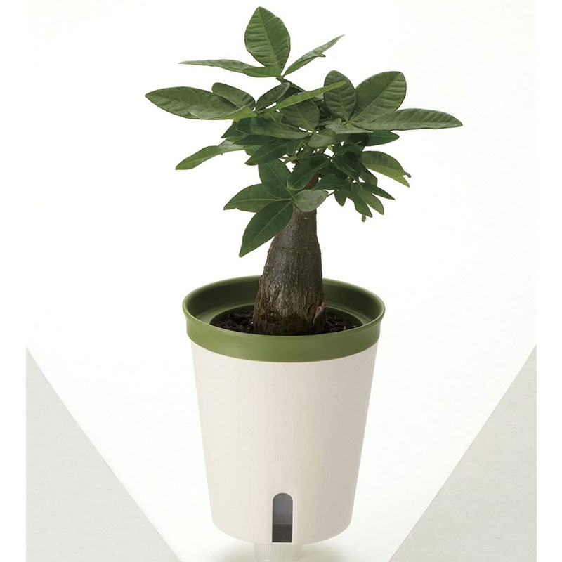 Chậu trồng cây tự cấp nước Richell size M 14.5cm thương hiệu RICHELL