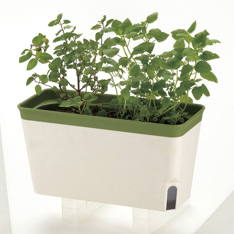 Khay trồng cây tự cấp nước Richell 27x12cm thương hiệu RICHELL