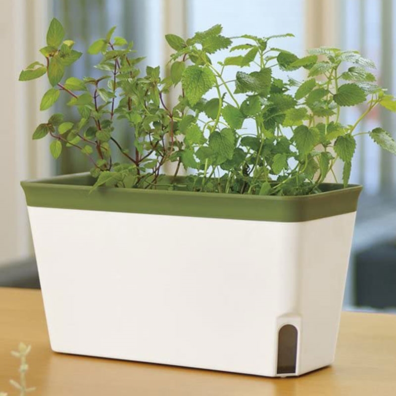 Khay trồng cây tự cấp nước Richell 27x12cm thương hiệu RICHELL