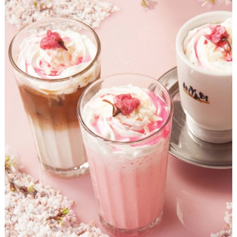 Hoa anh đào Sakura muối 35g  thương hiệu FUJI SHOKUHIN