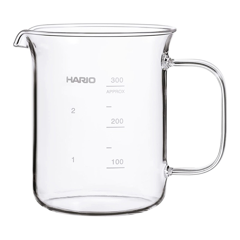 Bình đựng cà phê Hario Nhật Bản 300ml (BV-300)