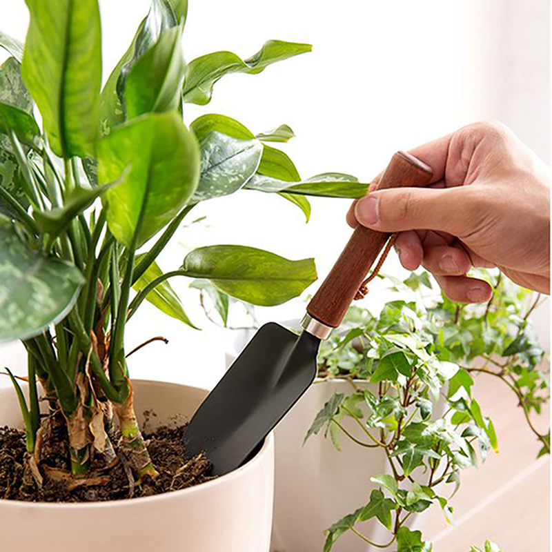 Xẻng nhỏ làm vườn  24.5cm thương hiệu ECHO METAL