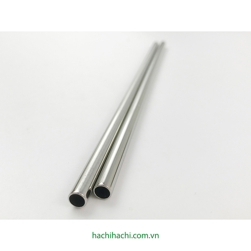 Ống hút inox 2 cái Bảo vệ môi trường thương hiệu ECHO METAL