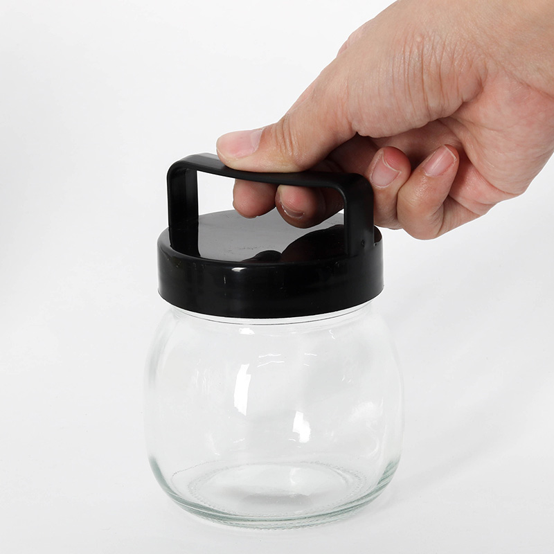 Hũ thuỷ tinh 300ml Nắp có quai cầm (Nhiều mẫu)-Giao mẫu ngẫu nhiên thương hiệu ECHO METAL