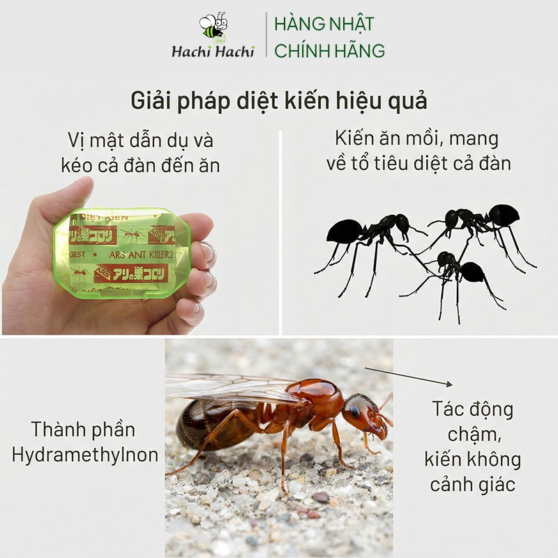 Mồi diệt kiến Ars Ant Killer 2,5g thương hiệu EARTH BIO CHEMICAL