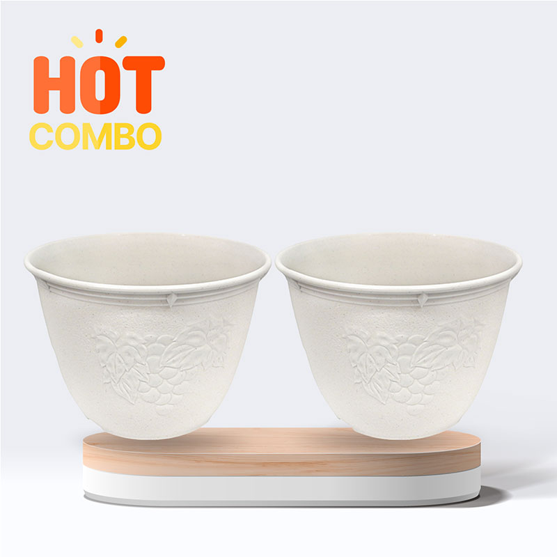 Combo siêu tiết kiệm 2 Chậu cây 24cm
