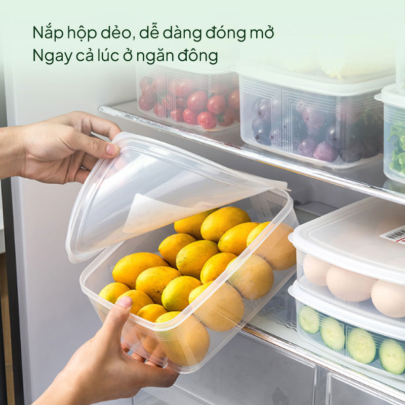 Combo siêu hời mua 3 Hộp đựng thực phẩm Nhật Bản 3 size tặng Thau nhựa Nhật Bản Sanada 5.3L (Trắng) thương hiệu 