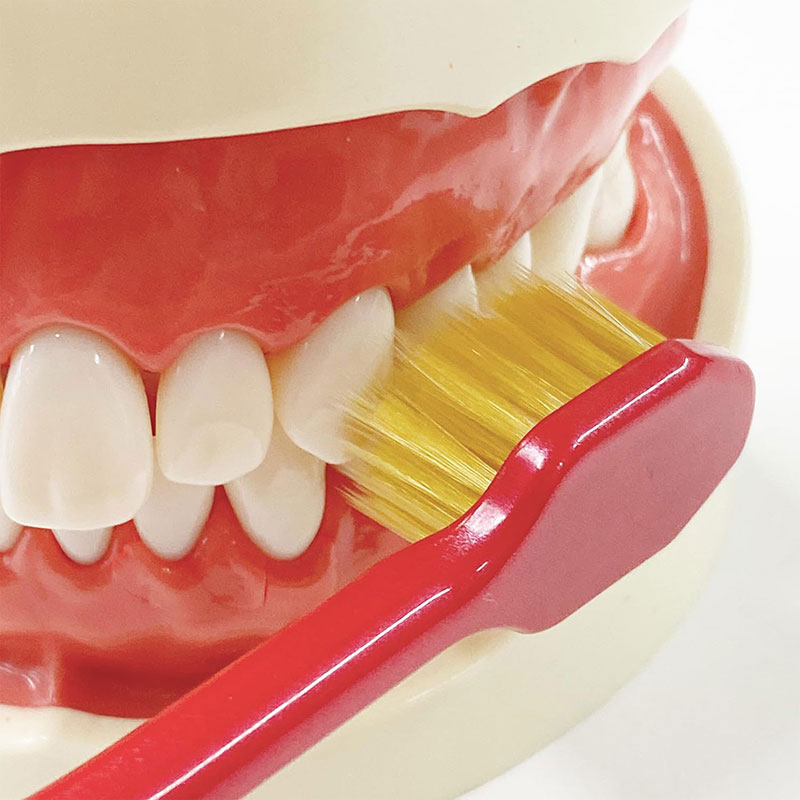 Combo siêu tiết kiêm 2 Bàn chải đánh răng cao cấp lông siêu mảnh, siêu mềm đầu nhỏ 6 line Ebisu (Nhiều mẫu) thương hiệu 