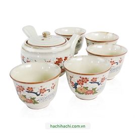 Bộ bình, ly gốm Nhật Bản 