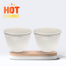 Combo siêu tiết kiệm 2 Chậu cây 24cm 