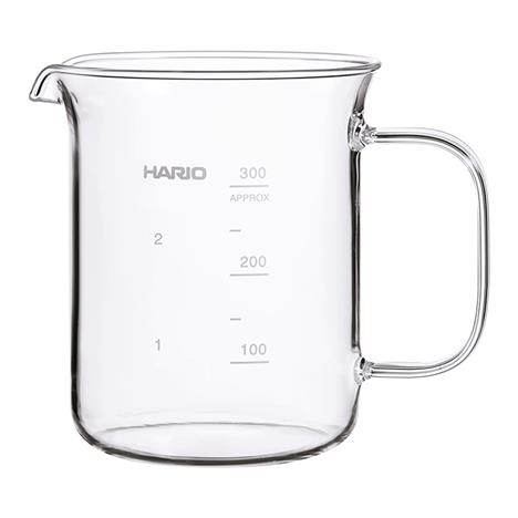 Bình đựng cà phê Hario Nhật Bản 300ml (BV-300)