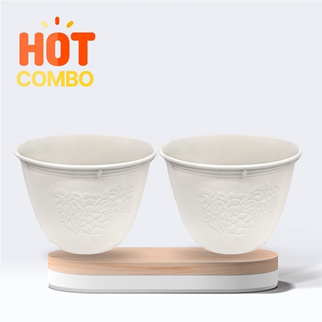 Combo siêu tiết kiệm 2 Chậu cây 24cm